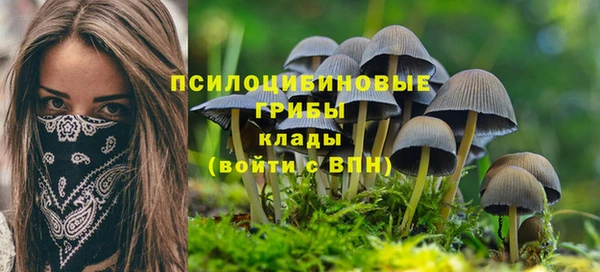 PSILOCYBIN Белоозёрский